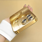 Golden Phoenix  Case